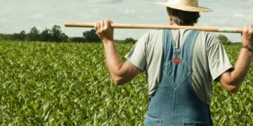 Αλλαγές και 19 προτάσεις για την ΚΑΠ και τους αγρότες