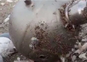 Απίστευτο: Νάρκη από την… Ουκρανία «ταξίδεψε» στη Μεσόγειο και ξεβράστηκε στη Ρόδο (βίντεο)