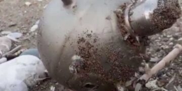 Απίστευτο: Νάρκη από την… Ουκρανία «ταξίδεψε» στη Μεσόγειο και ξεβράστηκε στη Ρόδο (βίντεο)