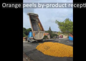 Δ. Μακεδονία: Αξιοποίηση πορτοκαλιών για την παραγωγή ζωοτροφών με συμμετοχή της Σχολής Γεωπονίας
