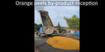 Δ. Μακεδονία: Αξιοποίηση πορτοκαλιών για την παραγωγή ζωοτροφών με συμμετοχή της Σχολής Γεωπονίας