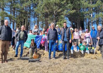 Δήμος Βοΐου: Δεύτερη φάση αναδάσωσης στη Νεάπολη και στο Τσοτύλι