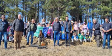 Δήμος Βοΐου: Δεύτερη φάση αναδάσωσης στη Νεάπολη και στο Τσοτύλι