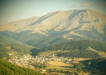 Δημοπρατούνται οι αμνοί (πρόβατα) του Κτηνοτροφικού Κέντρου Βλάστης - Από την Αποκεντρωμένη Διοίκηση Ηπείρου-Δ. Μακεδονίας