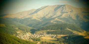 Δημοπρατούνται οι αμνοί (πρόβατα) του Κτηνοτροφικού Κέντρου Βλάστης - Από την Αποκεντρωμένη Διοίκηση Ηπείρου-Δ. Μακεδονίας