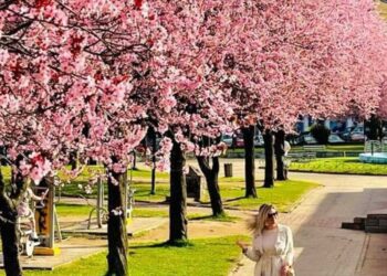 Φλώρινα: Υπέροχη και ανοιξιάτικη - "Κάθε γωνιά της και μια μαγεία", λένε οι κάτοικοί της!
