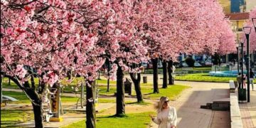 Φλώρινα: Υπέροχη και ανοιξιάτικη - "Κάθε γωνιά της και μια μαγεία", λένε οι κάτοικοί της!