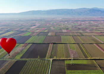 Ημαθία: Χάρμα οφθαλμών από ψηλά οι ανθισμένες ροδακινιές και τα αερόστατα (φωτό)