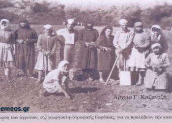 Από την έναρξη της καπνοφυτείας στο γειτονικό μας Προάστειο το Μαΐου 1949- Από τη στήλη του Γ. Καζαντζή στον ΠΑΛΜΟ (20/3)