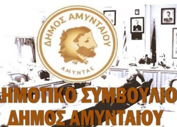 Ψήφισμα Δημοτικού Συμβουλίου Αμυνταίου για τον θάνατο του πρώην Δημάρχου Αμυνταίου, Μίγκου Θωμά