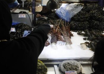 Σαρακοστιανό τραπέζι: Στα ύψη σε σχέση με πέρσι τα φρέσκα θαλασσινά