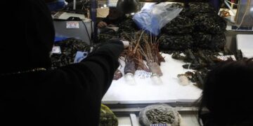 Σαρακοστιανό τραπέζι: Στα ύψη σε σχέση με πέρσι τα φρέσκα θαλασσινά