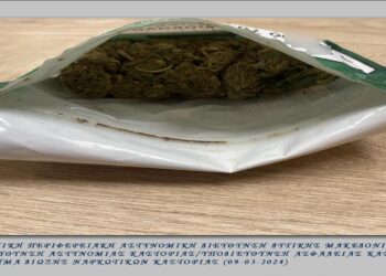 Συνελήφθησαν δύο άτομα στην πόλη της Καστοριάς  για κατοχή ναρκωτικών ουσιών