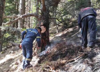 Δήμαρχος Βελβεντού: “Έγινε κατάσβεση της φωτιάς στα Πιέρια πριν αγγίξει το Ν. Κοζάνης” – Ποιους ευχαριστεί