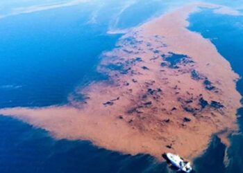 Απίστευτη εικόνα στον Παγασητικό: Δημιουργήθηκε... νησίδα από τα μπάζα της κακοκαιρίας «Daniel»