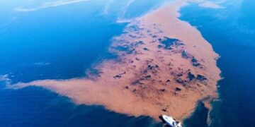 Απίστευτη εικόνα στον Παγασητικό: Δημιουργήθηκε... νησίδα από τα μπάζα της κακοκαιρίας «Daniel»