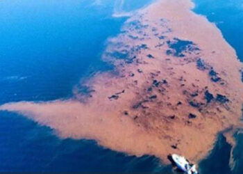 Απίστευτο: Δημιουργήθηκε νησίδα στον Παγασητικό από τα μπάζα της κακοκαιρίας Daniel