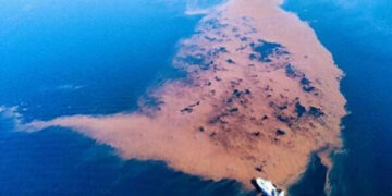 Απίστευτο: Δημιουργήθηκε νησίδα στον Παγασητικό από τα μπάζα της κακοκαιρίας Daniel