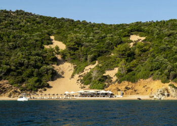 Άρκος: Το νησάκι των Σποράδων με τα πεύκα και τα γαλαζοπράσινα νερά