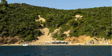 Άρκος: Το νησάκι των Σποράδων με τα πεύκα και τα γαλαζοπράσινα νερά