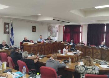 Πλακεντάς: «Οι προϋπολογισμοί δεν είναι μόνο νούμερα. Είναι δράσεις, υλοποίηση, δίκαιη ανάπτυξη»