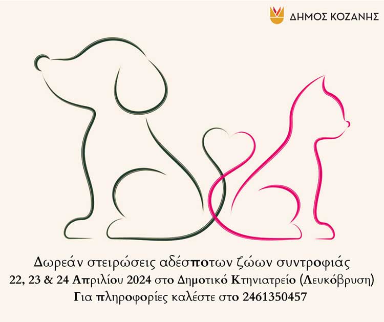 Δήμος Κοζάνης: Δωρεάν στειρώσεις αδέσποτων ζώων συντροφιάς στις 22, 23 και 24 Απριλίου 2024