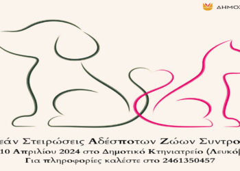 Δωρεάν στειρώσεις αδέσποτων ζώων συντροφιάς από τον Δήμο Κοζάνης στις 8, 9 και 10 Απριλίου