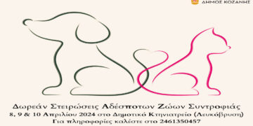 Δωρεάν στειρώσεις αδέσποτων ζώων συντροφιάς από τον Δήμο Κοζάνης στις 8, 9 και 10 Απριλίου