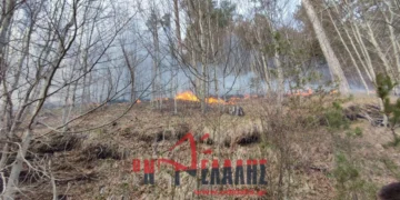 Μαίνεται η φωτιά στα Πιέρια Όρη – Ενισχύθηκαν οι δυνάμεις της Πυροσβεστικής