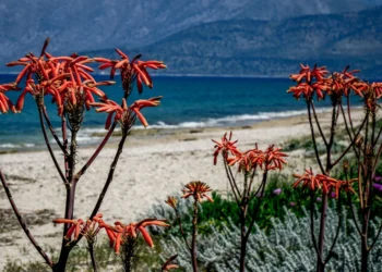 Αίθριος μέχρι τη Μεγάλη Παρασκευή και άστατος το Μεγάλο Σάββατο και την Κυριακή του Πάσχα