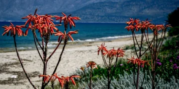 Αίθριος μέχρι τη Μεγάλη Παρασκευή και άστατος το Μεγάλο Σάββατο και την Κυριακή του Πάσχα