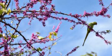 Καιρός: Ζέστη ως 29 βαθμούς στη Δ. Μακεδονία αλλά με πολύ αέρα και μποφόρ