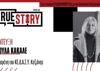 Α. Κακαλέ: Ο ρόλος του Κέντρου Διεπιστημονικής Αξιολόγησης, Συμβουλευτικής και Υποστήριξης (ΚΕΔΑΣΥ Κοζάνης) στην αξιολόγηση των εκπαιδευτικών αναγκών των μαθητών