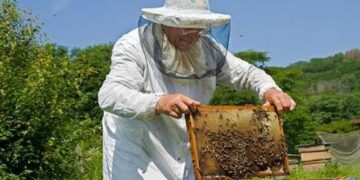 Κέντρο Μελισσοκομίας Δ. Μακεδονίας: Αντικατάσταση κυψελών και κινητών βάσεων - Οικονομική ενίσχυση της νομαδικής μελισσοκομίας