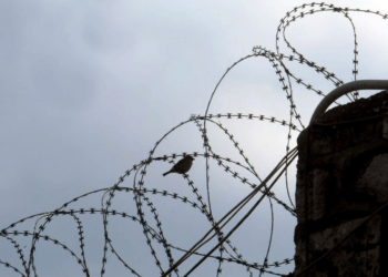 Κρουασάν με γέμιση… χασίς επιχείρησαν να περάσουν στα κρατήρια Πάτρας συγγενείς της συμμορίας που διακινούσε ναρκωτικά σε σχολείο