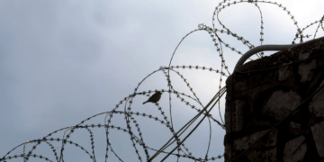 Κρουασάν με γέμιση… χασίς επιχείρησαν να περάσουν στα κρατήρια Πάτρας συγγενείς της συμμορίας που διακινούσε ναρκωτικά σε σχολείο