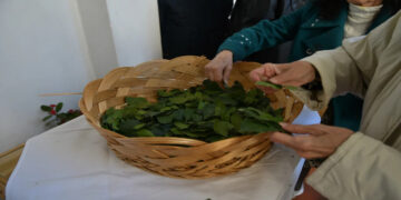 Κυριακή των Βαΐων : Τι τρώμε με βάση την παράδοση