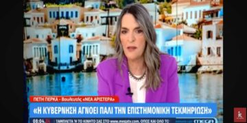 Η Πέτη Πέρκα στο MEGA: «Και στο θέμα του σχολικού εκφοβισμού, η κυβέρνηση αγνοεί την επιστημονική τεκμηρίωση»