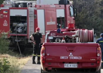 Φωτιά σε δασική έκταση στις Πρέσπες – Δεν απειλεί κατοικημένη περιοχή