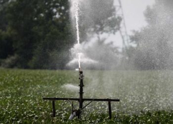 Προκηρύχθηκε διαγωνισμός για νέο αρδευτικό έργο στην Κοζάνη – Δείτε σε ποιά περιοχή