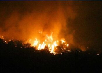 Πυροσβεστική: 56 αγροτοδασικές πυρκαγιές εκδηλώθηκαν το τελευταίο 24ωρο