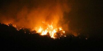 Πυροσβεστική: 56 αγροτοδασικές πυρκαγιές εκδηλώθηκαν το τελευταίο 24ωρο