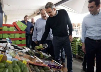 Σκρέκας: Σταδιακά οι τιμές των οπωροκηπευτικών προϊόντων έχουν αρχίσει να αποκλιμακώνονται