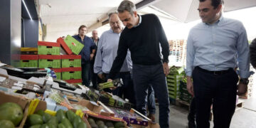 Σκρέκας: Σταδιακά οι τιμές των οπωροκηπευτικών προϊόντων έχουν αρχίσει να αποκλιμακώνονται