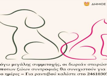 Κοζάνη: Συνεχίζονται οι δωρεάν στειρώσεις αδέσποτων ζώων συντροφιάς