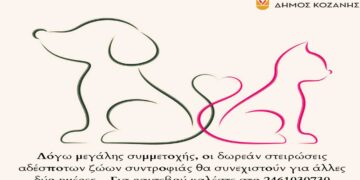 Κοζάνη: Συνεχίζονται οι δωρεάν στειρώσεις αδέσποτων ζώων συντροφιάς