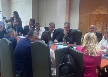 Η ενίσχυση του κλάδου της γούνας στο επίκεντρο ευρείας σύσκεψης στο Υπουργείο Ανάπτυξης