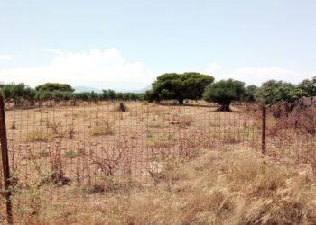 Ακαθάριστα οικόπεδα: Αυτή είναι η νέα πλατφόρμα – Τι ισχύει για τα πρόστιμα