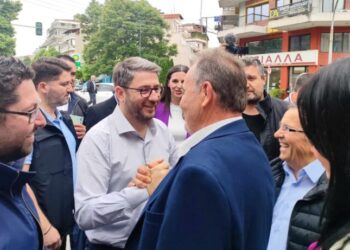 Ν. Ανδρουλάκης από τα Γρεβενά: Να δημιουργήσουμε υποδομές κοινωνικού κράτους