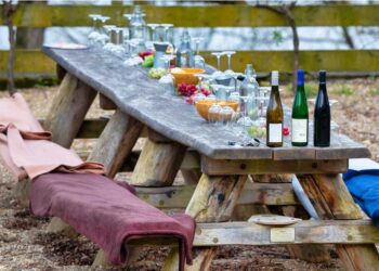 Ανοιχτά οινοποιεία το Σαββατοκύριακο με δωρεάν γευσιγνωσίες, πικ νικ, γιόγκα σε Βελβεντό, Καστοριά, Αμύνταιο και άλλα μέρη της Ελλάδας